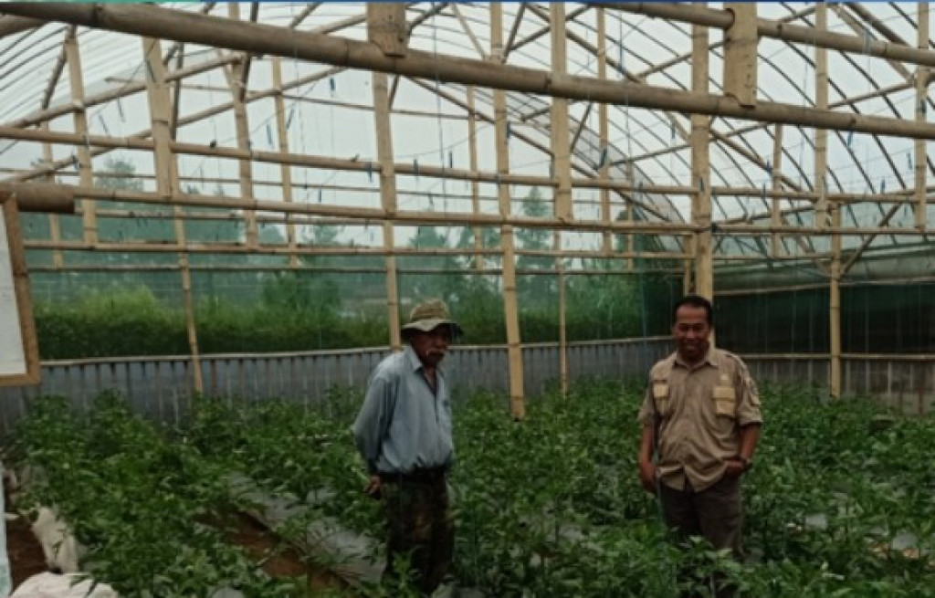 Desa Cibodas Kembangkan Smart Farming untuk Mendukung Pertanian dan Perkebunan Lokal